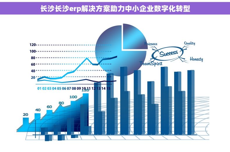 长沙长沙erp解决方案助力中小企业数字化转型