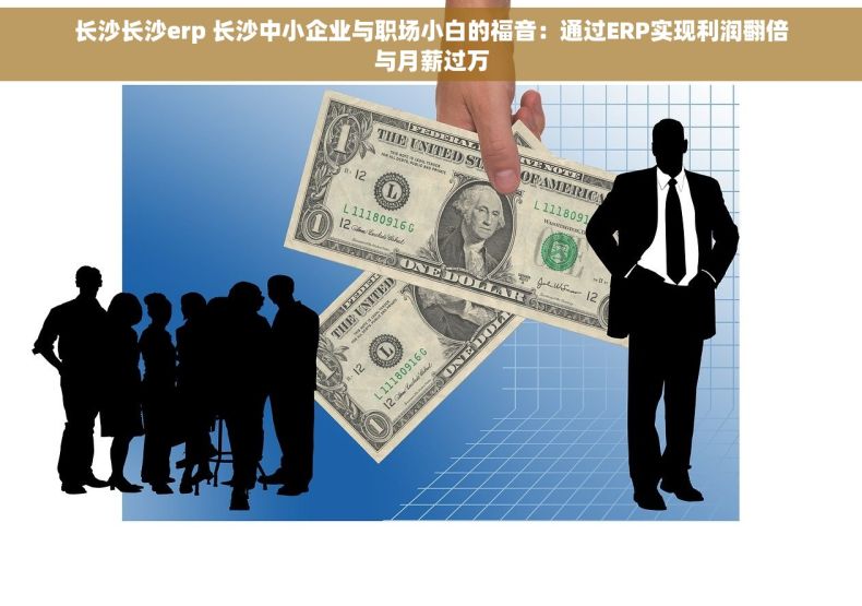 长沙长沙erp 长沙中小企业与职场小白的福音：通过ERP实现利润翻倍与月薪过万