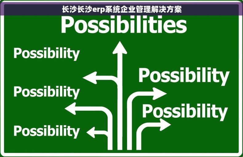 长沙长沙erp系统企业管理解决方案
