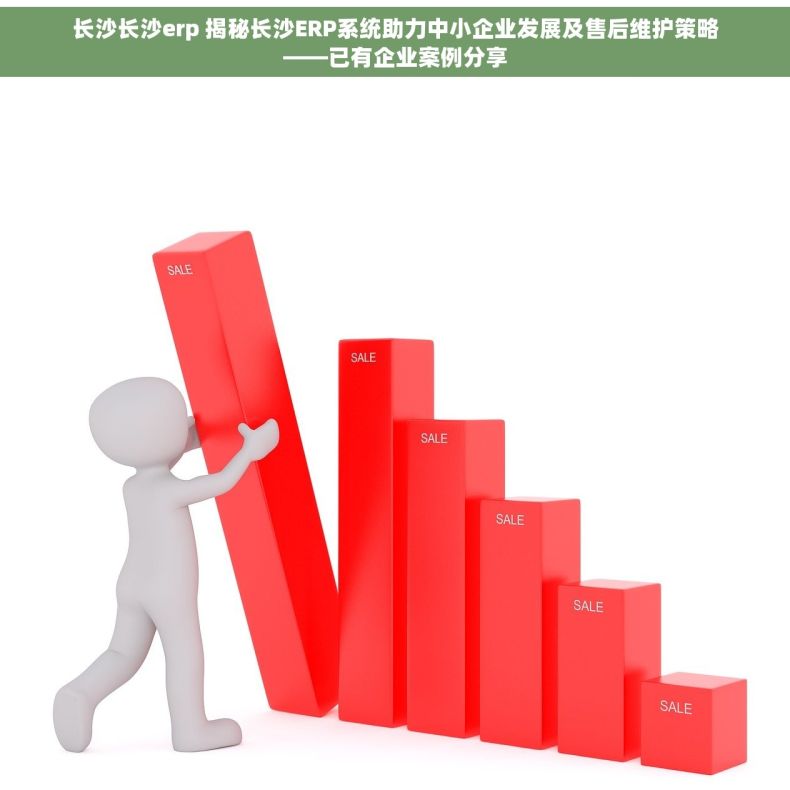 长沙长沙erp 揭秘长沙ERP系统助力中小企业发展及售后维护策略——已有企业案例分享