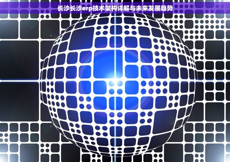 长沙长沙erp技术架构详解与未来发展趋势