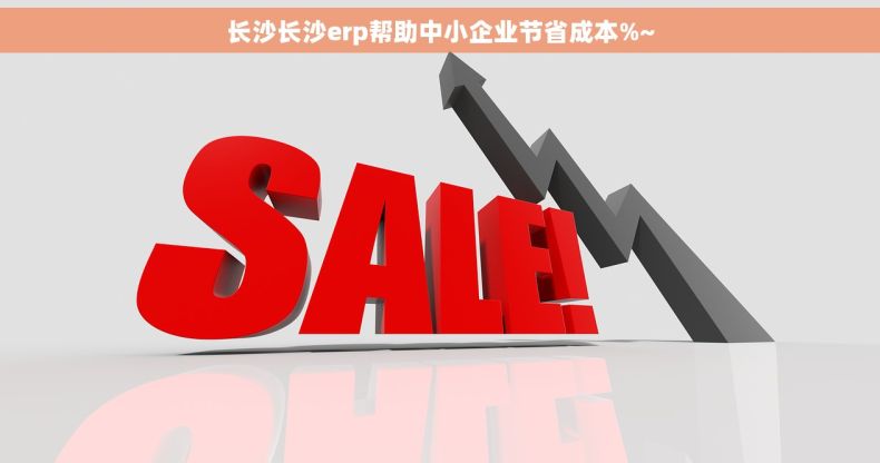 长沙长沙erp帮助中小企业节省成本%~