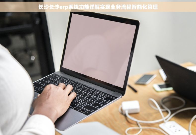 长沙长沙erp系统功能详解实现业务流程智能化管理