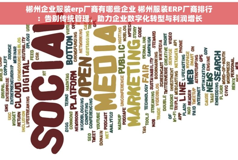 郴州企业服装erp厂商有哪些企业 郴州服装ERP厂商排行：告别传统管理，助力企业数字化转型与利润增长