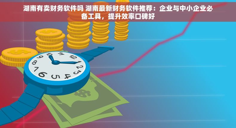 湖南有卖财务软件吗 湖南最新财务软件推荐：企业与中小企业必备工具，提升效率口碑好