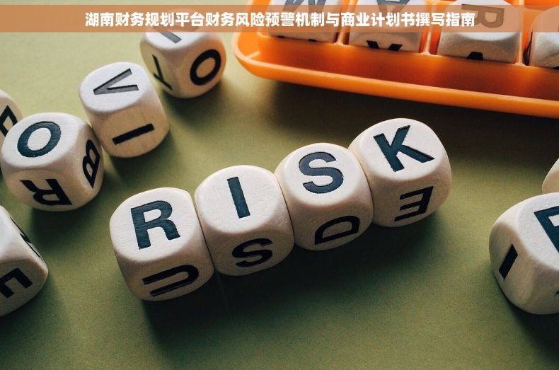 湖南财务规划平台财务风险预警机制与商业计划书撰写指南