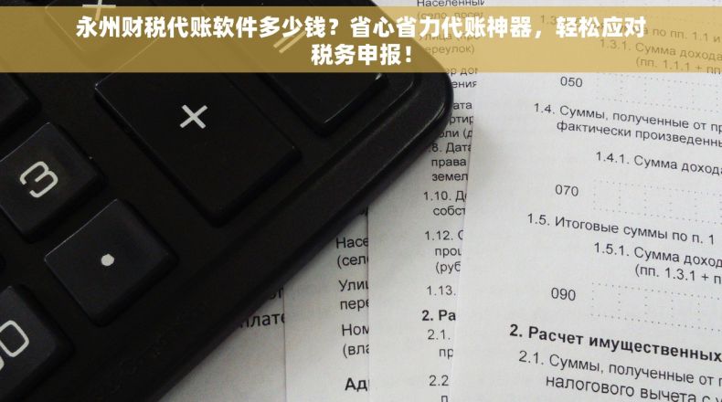 永州财税代账软件多少钱？省心省力代账神器，轻松应对税务申报！