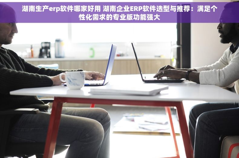湖南生产erp软件哪家好用 湖南企业ERP软件选型与推荐：满足个性化需求的专业版功能强大