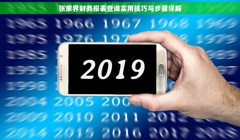 张家界财务报表查询实用技巧与步骤详解