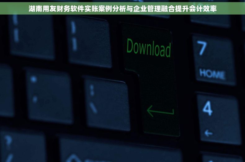 湖南用友财务软件实账案例分析与企业管理融合提升会计效率