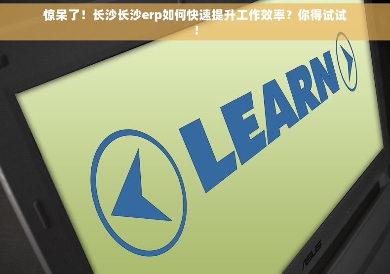惊呆了！长沙长沙erp如何快速提升工作效率？你得试试！