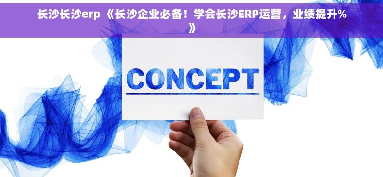 长沙长沙erp 《长沙企业必备！学会长沙ERP运营，业绩提升%》