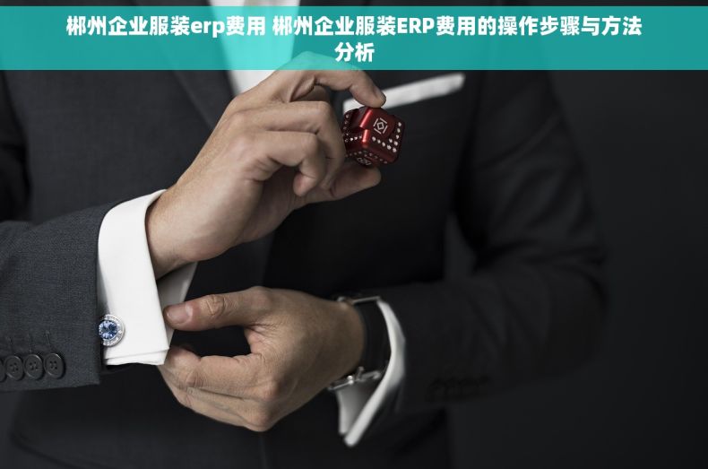 郴州企业服装erp费用 郴州企业服装ERP费用的操作步骤与方法分析