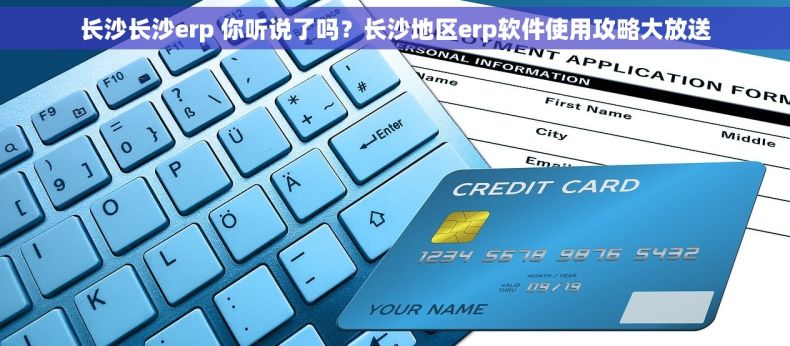 长沙长沙erp 你听说了吗？长沙地区erp软件使用攻略大放送