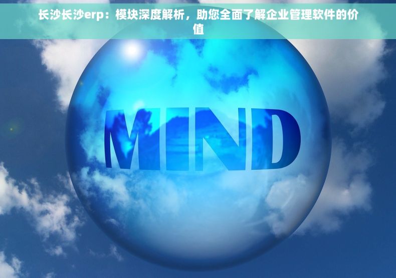 长沙长沙erp：模块深度解析，助您全面了解企业管理软件的价值