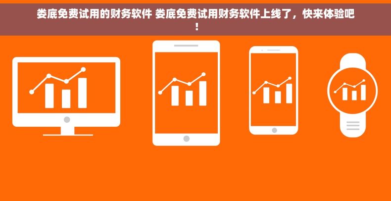娄底免费试用的财务软件 娄底免费试用财务软件上线了，快来体验吧！