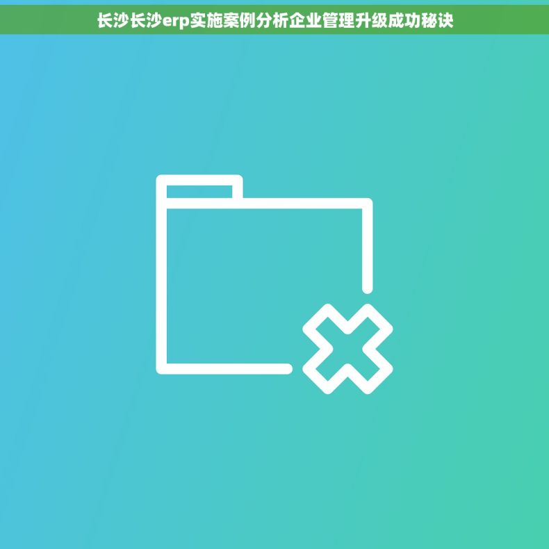 长沙长沙erp实施案例分析企业管理升级成功秘诀