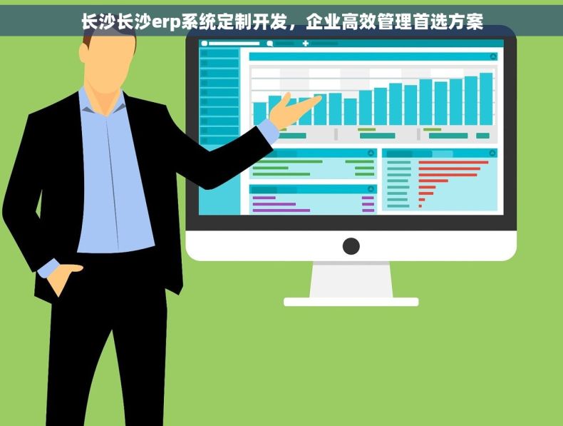 长沙长沙erp系统定制开发，企业高效管理首选方案