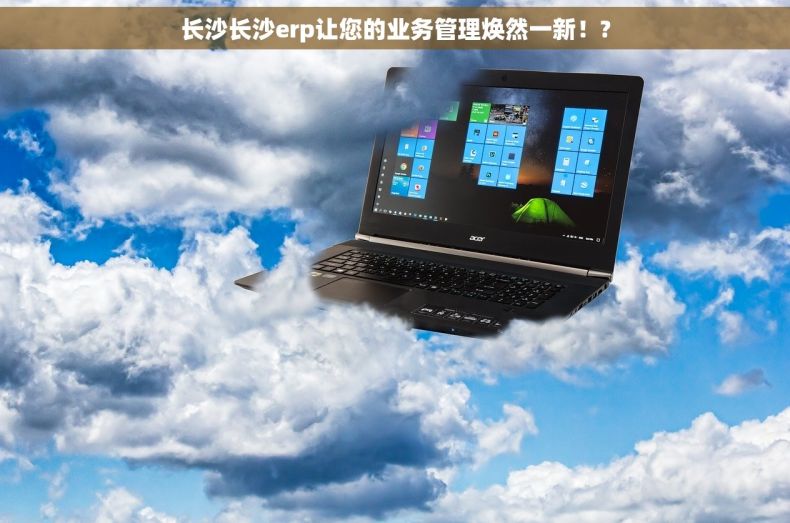 长沙长沙erp让您的业务管理焕然一新！?