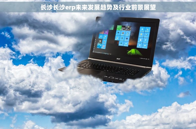 长沙长沙erp未来发展趋势及行业前景展望