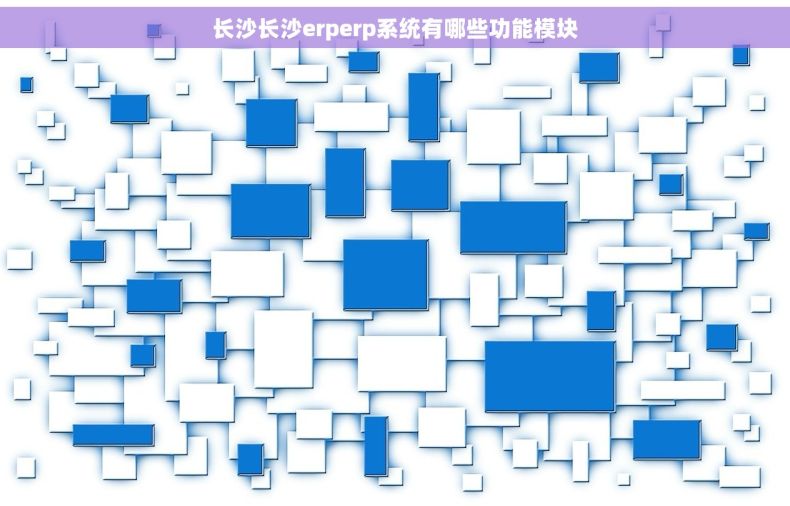 长沙长沙erperp系统有哪些功能模块