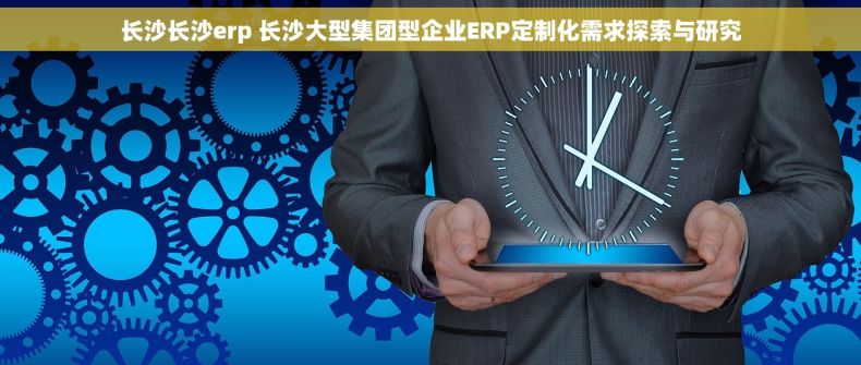 长沙长沙erp 长沙大型集团型企业ERP定制化需求探索与研究