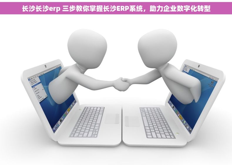 长沙长沙erp 三步教你掌握长沙ERP系统，助力企业数字化转型