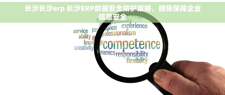长沙长沙erp 长沙ERP数据安全防护策略，措施保障企业信息安全