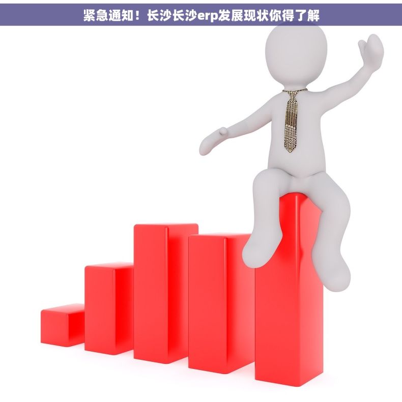 紧急通知！长沙长沙erp发展现状你得了解
