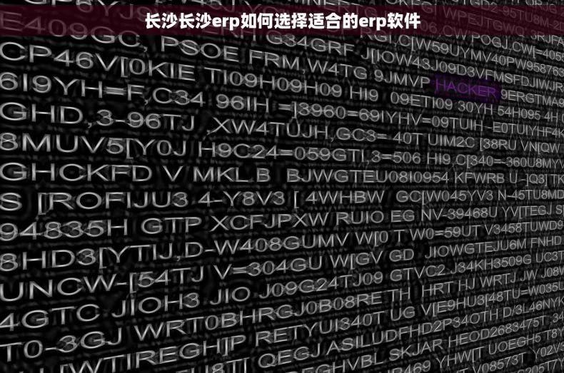 长沙长沙erp如何选择适合的erp软件