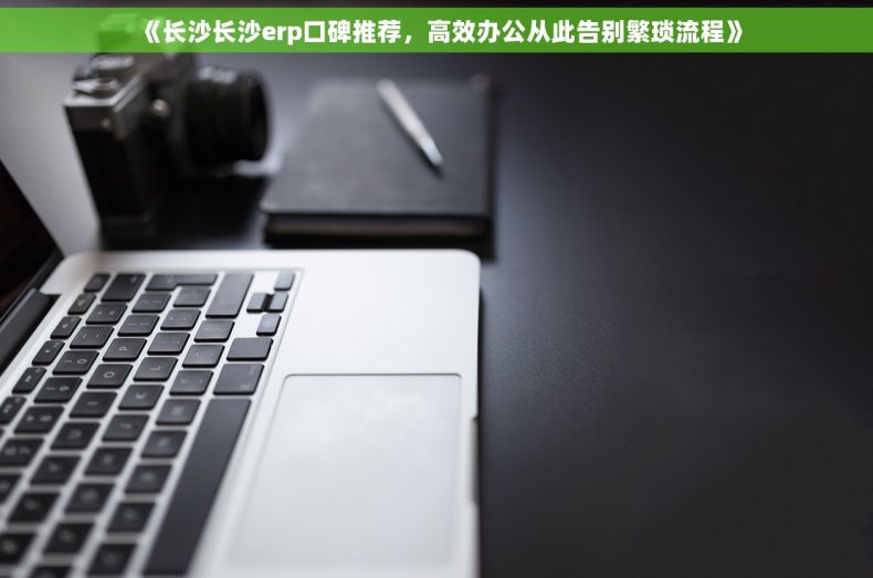 《长沙长沙erp口碑推荐，高效办公从此告别繁琐流程》