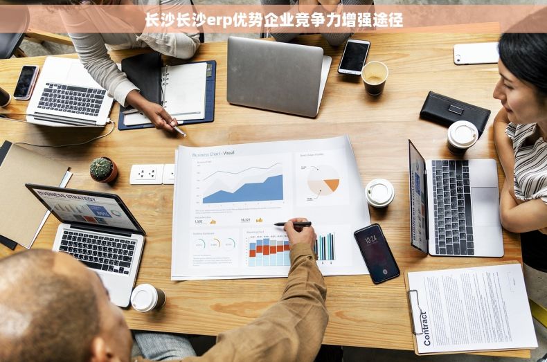 长沙长沙erp优势企业竞争力增强途径