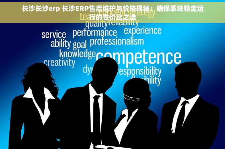 长沙长沙erp 长沙ERP售后维护与价格揭秘：确保系统稳定运行的性价比之选