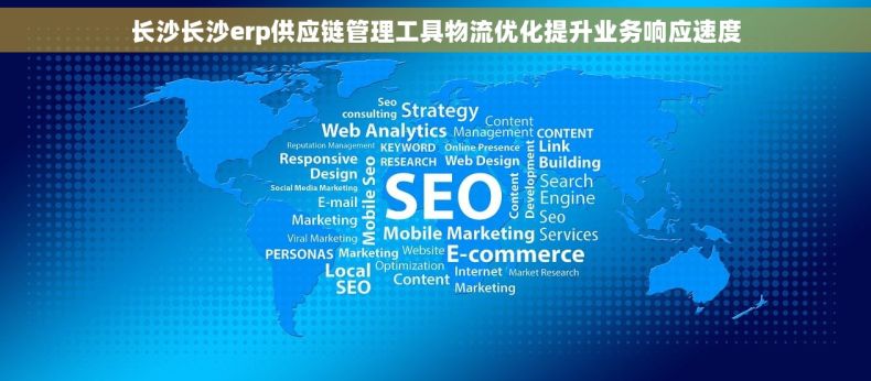 长沙长沙erp供应链管理工具物流优化提升业务响应速度