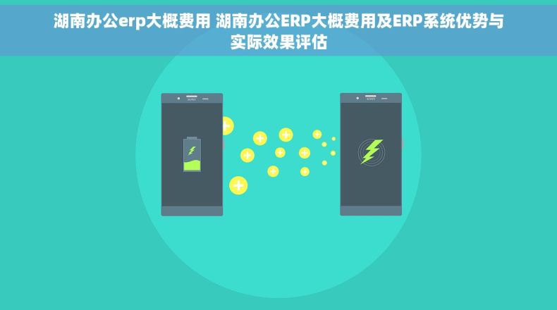 湖南办公erp大概费用 湖南办公ERP大概费用及ERP系统优势与实际效果评估