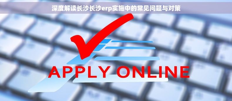 深度解读长沙长沙erp实施中的常见问题与对策