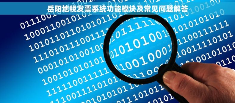 岳阳地税发票系统功能模块及常见问题解答