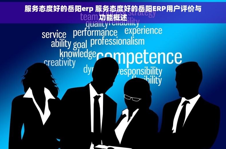 服务态度好的岳阳erp 服务态度好的岳阳ERP用户评价与功能概述