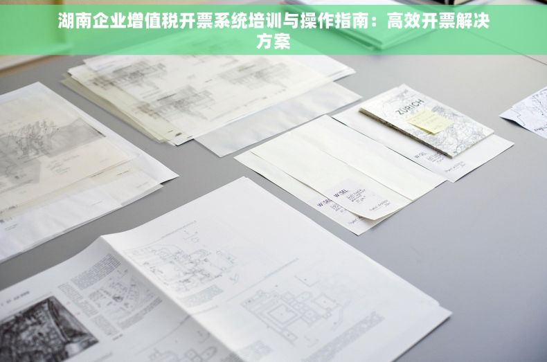湖南企业增值税开票系统培训与操作指南：高效开票解决方案
