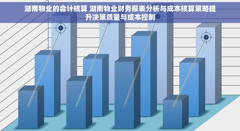 湖南物业的会计核算 湖南物业财务报表分析与成本核算策略提升决策质量与成本控制