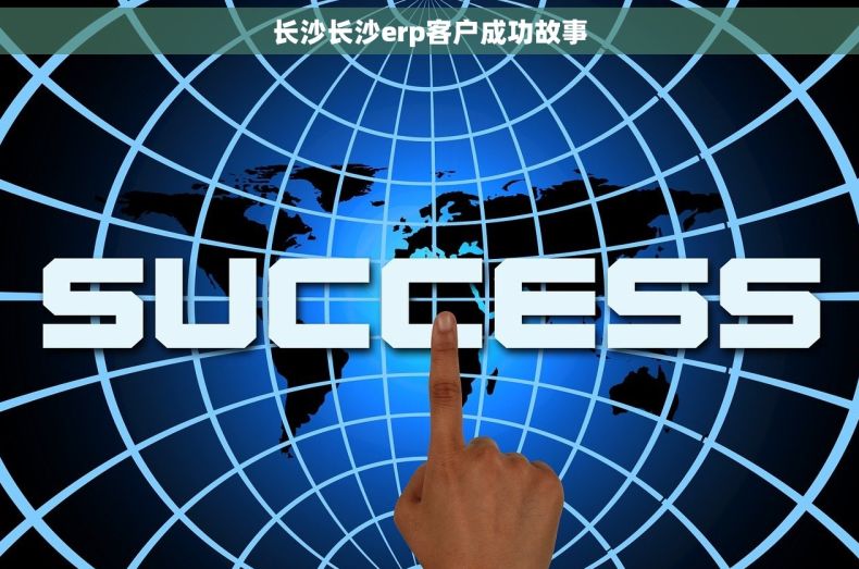 长沙长沙erp客户成功故事