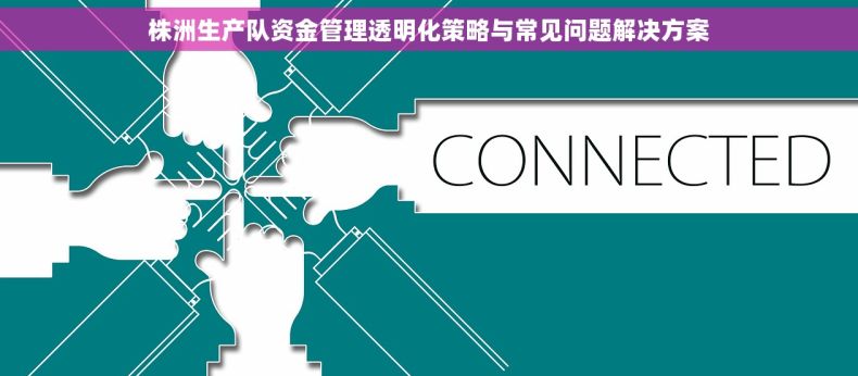 株洲生产队资金管理透明化策略与常见问题解决方案