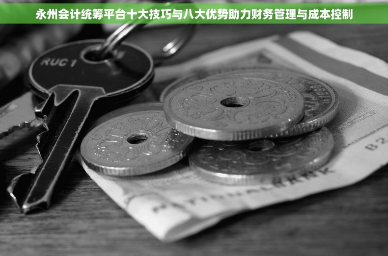 永州会计统筹平台十大技巧与八大优势助力财务管理与成本控制