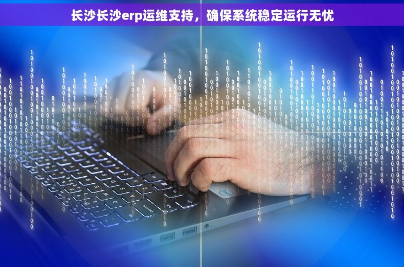 长沙长沙erp运维支持，确保系统稳定运行无忧