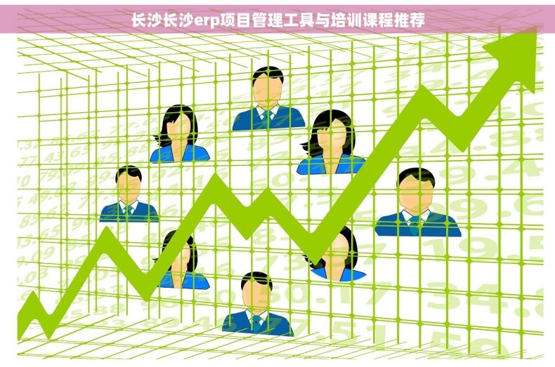 长沙长沙erp项目管理工具与培训课程推荐