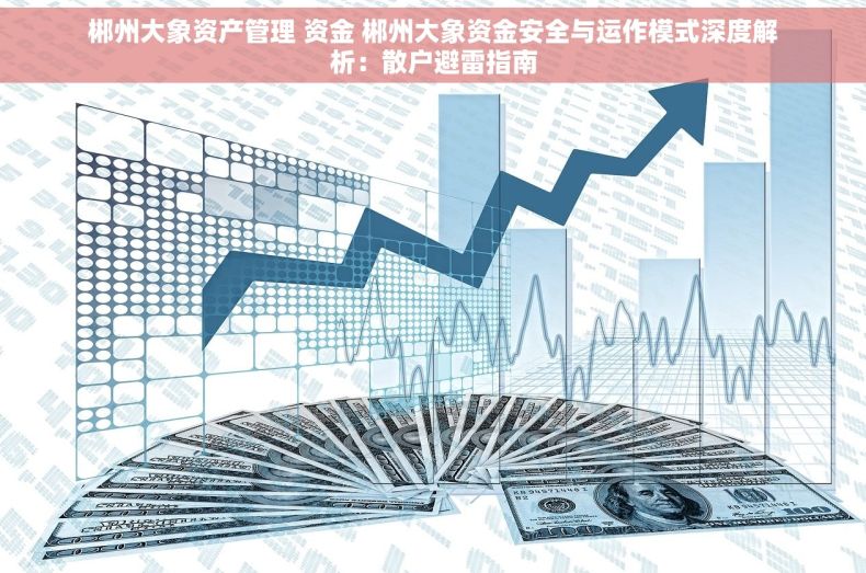 郴州大象资产管理 资金 郴州大象资金安全与运作模式深度解析：散户避雷指南