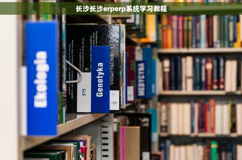 长沙长沙erperp系统学习教程