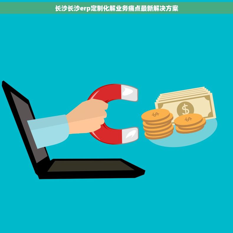 长沙长沙erp定制化解业务痛点最新解决方案