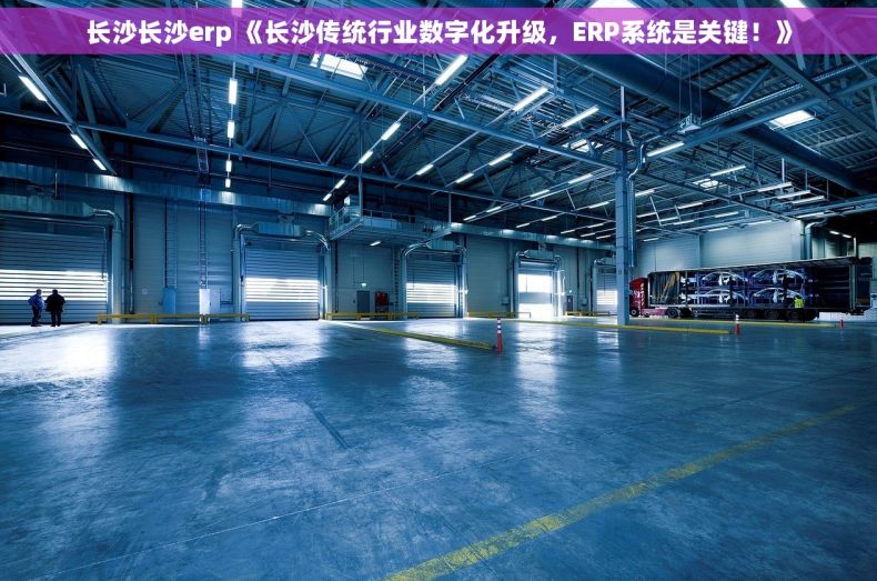 长沙长沙erp 《长沙传统行业数字化升级，ERP系统是关键！》