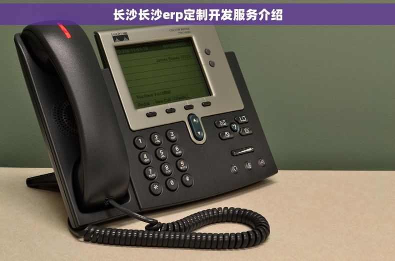 长沙长沙erp定制开发服务介绍